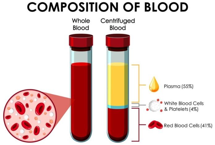 blood and bone2